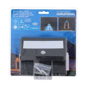 Grundig Grundig - LED Solárne svietidlo so senzorom 1xLED/0,25W/1xAA
