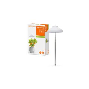 Ledvance Ledvance - LED Interiérová lampa GARDEN LIGHT LED/5W/5V