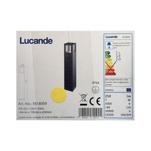 Lucande Lucande - LED Vonkajšia lampa NICOLA LED/7W/230V IP54