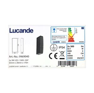 Lucande Lucande - LED Vonkajšie nástenné svietidlo CORDA 2xLED/3W/230V IP54