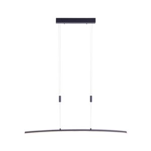 Paul Neuhaus Paul Neuhaus 2530-13 - LED Stmievateľný luster na lanku JANINA LED/27W/230V