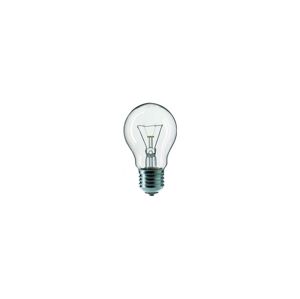 Priemyselná žiarovka CLEAR A55 E27/25W/230V